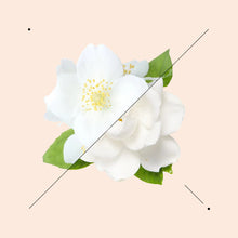 Load image into Gallery viewer, ESSENS W211 | Signature Match: DIOR-Pure Poison