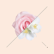 Load image into Gallery viewer, Passenger Princess | Signature Scent Delina