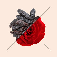 Load image into Gallery viewer, Essens W206 | Signature Match:Miu Miu-Miutiune

